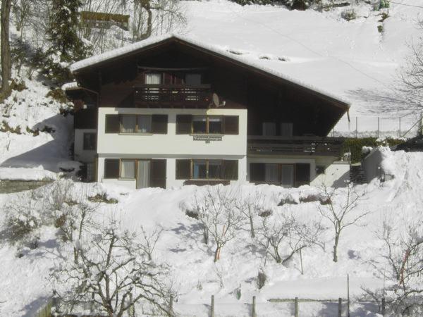 Gaestehaus Andrea Schruns ภายนอก รูปภาพ